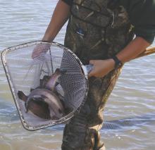 The Nebraska Game and Parks Commission stocked close to 250 rainbow trout in the Community Fishing Pond in Ainsworth. Commissioner Dennis Bauer reminds the public that if anyone plans to keep the trout, that the limit is five per day, with a possession limit of 10.