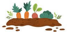Start Now for a Successful Vegetable Garden