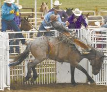 Photo Courtesy of Steve Mosely Augustus Painter rides during the Sunday portion of the rodeo.