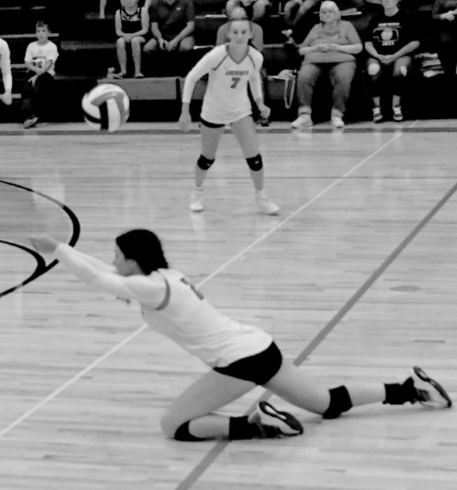 Summer Richardson goes down for a West Holt Husky serve during Ainsworth’s win over the Lady Huskies.