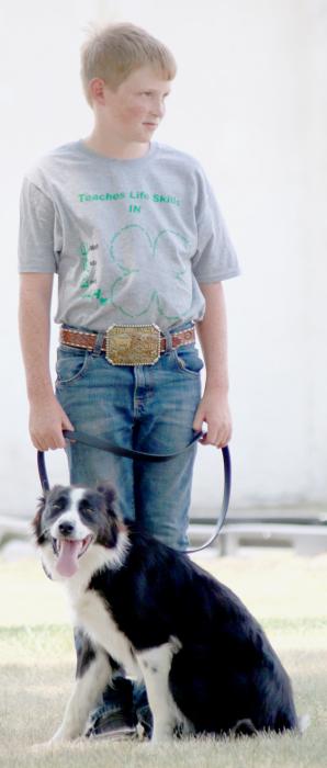 Dog Show