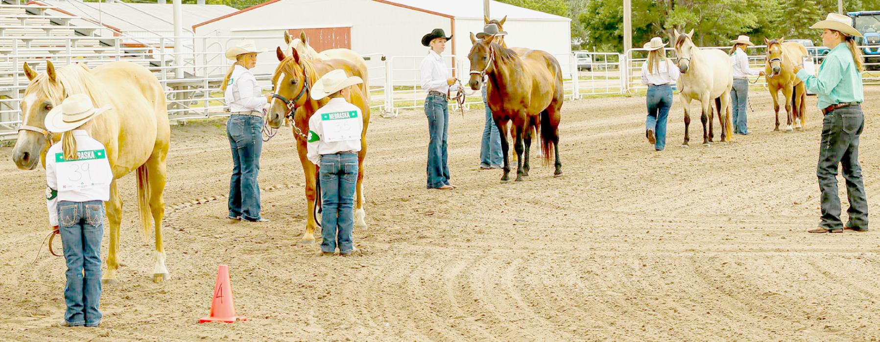 Horse Show