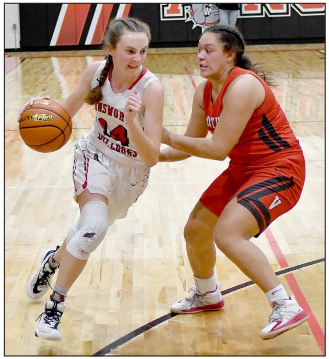 Cameryn Goochey drives around Malika Monroe. Goochey had 10 points and 7 rebounds against the Valentine Lady Badgers.