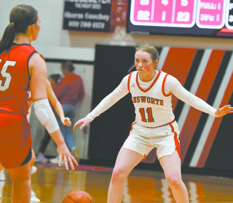 Kenley Welke (11) plays defense on Winside’s Hadleigh Schutt.