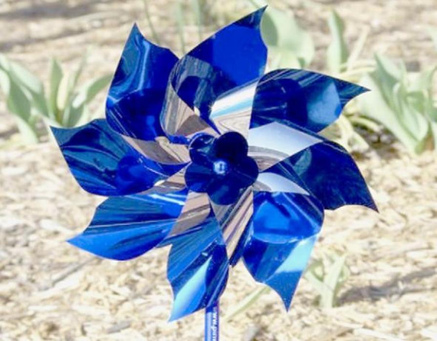 Blue pinwheels signify a vision where all children can grow up in supportive families and communities. Children who grow up with nurturing relationships and supportive communities are more academically successful and more likely to grow up to be productive members of society. Blue pinwheels are a reminder of the role we all play in children’s lives.