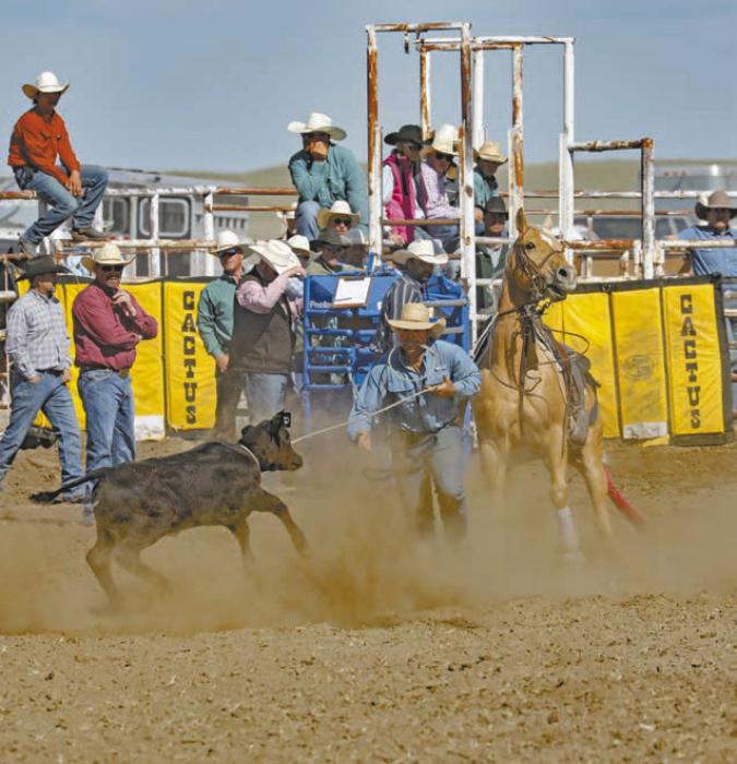 Branden Freudenburg qualified in tie down and team roping. Photo Courtesy of Sandall Photography