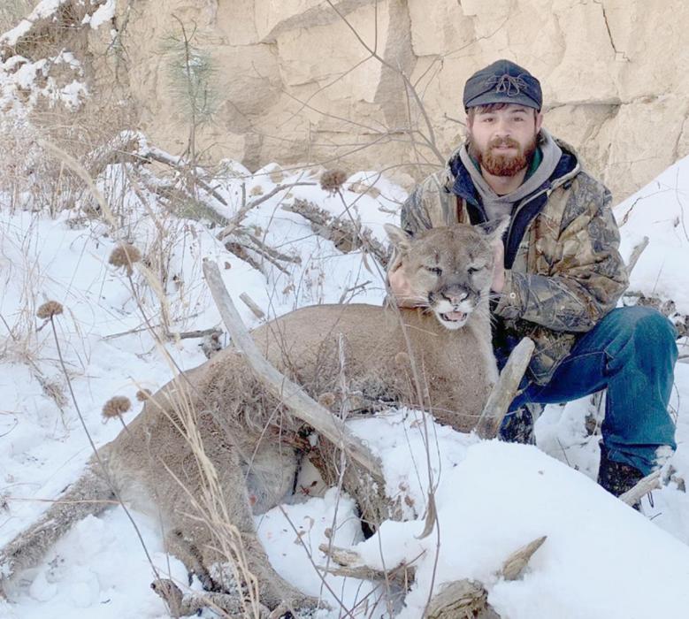 Lane Gambill of Johnstown harvested this 132 pound male mountain lion in the Pine Ridge on January 3, 2022. It was the second lion of four shot during the season, after the first was shot on opening day.
