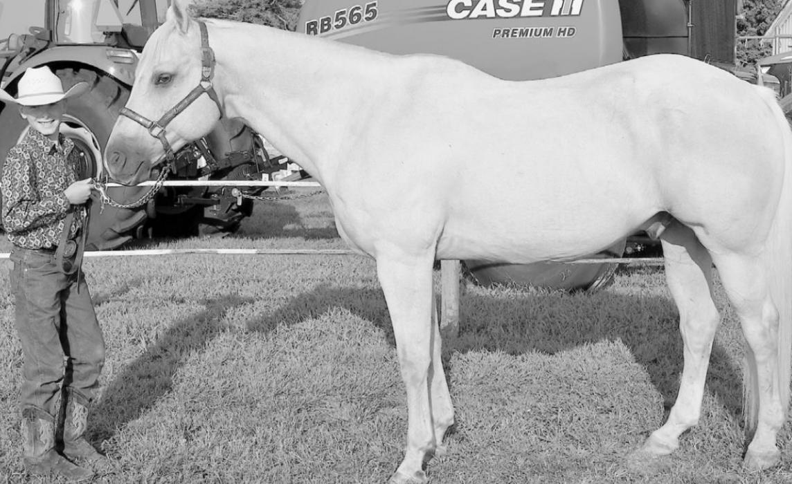 Grand Champion Gelding: Jayse Daniels.