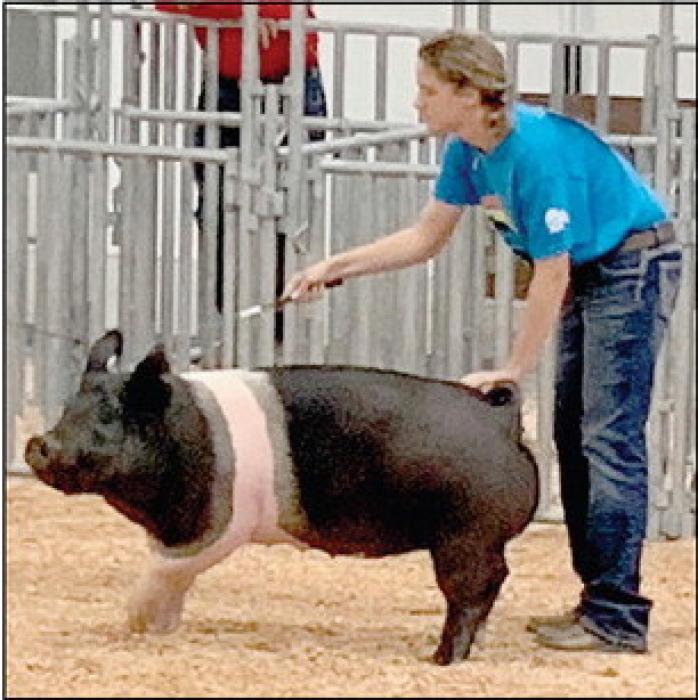 Olivia Beel Receives Blue Ribbons at State Fair