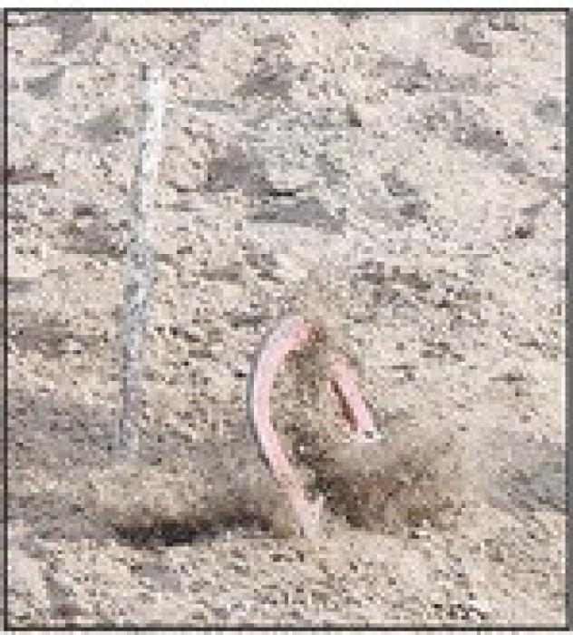 Brown County Fair Horseshoe Results