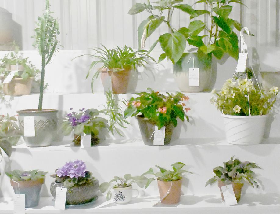 Don’t forget to enter all of your exhibits between 3:00 p.m. and 8:00 p.m. on Friday, September 1st at the Brown County Exhibit Halls. Exhibit your entries in Housewife, Agriculture and Horticulture, Floriculture, Livestock, Needlework, Photography, Horse Show and Antiques.