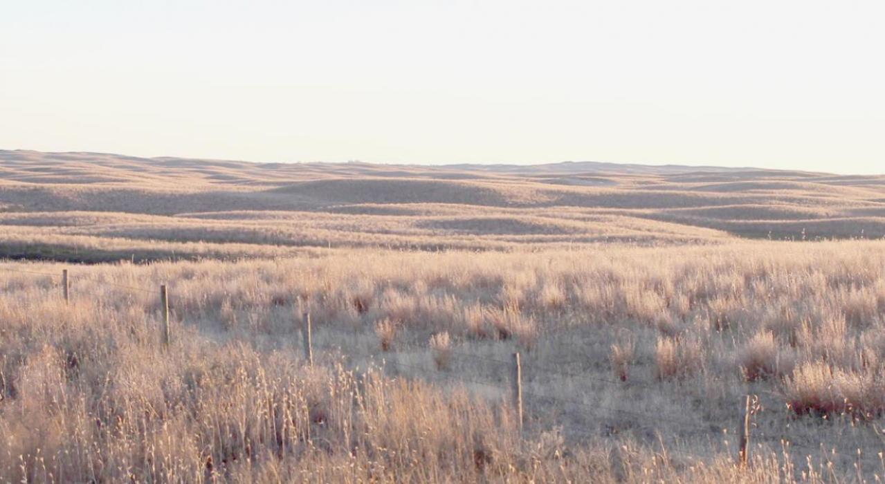 The Nebraska Sandhills, pictured above in southeast Brown County, were recently found in a study to be the most intact temperate grasslands in the world.
