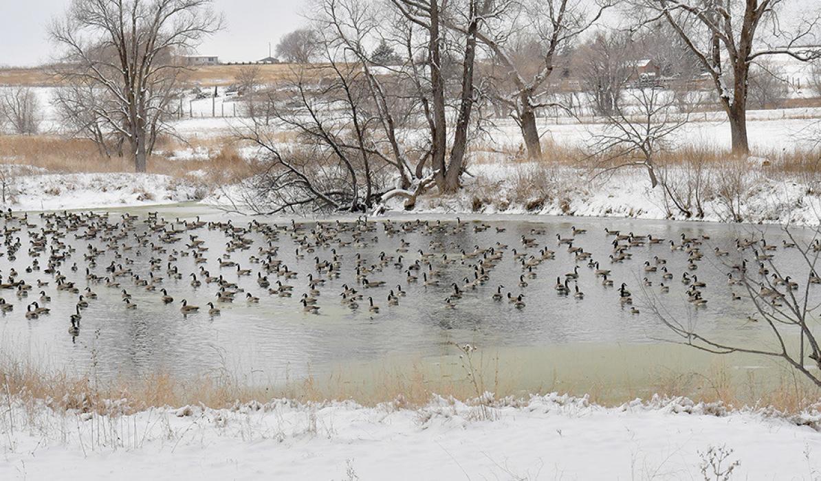 Mother Nature Gives Area First Real Taste of Winter