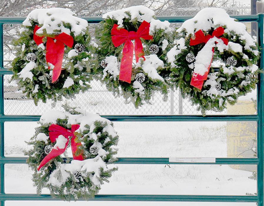 Mother Nature Gives Area First Real Taste of Winter