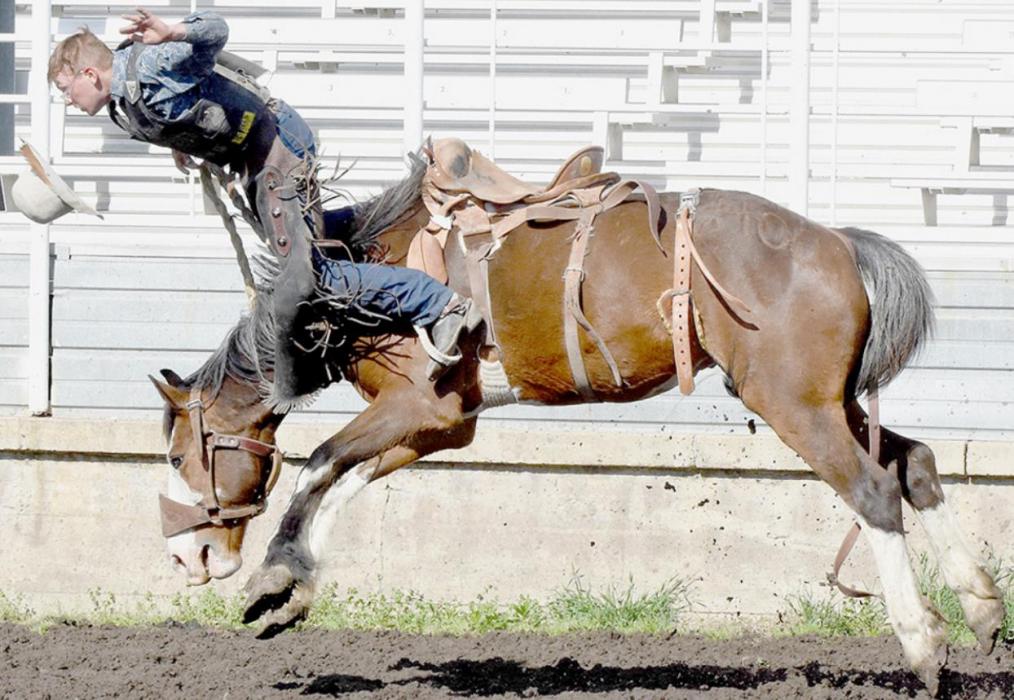 Augustus Painter, Ainsworth, went over the ears of his saddle bronc for no score at Madison. Photo by Steve Moseley of York