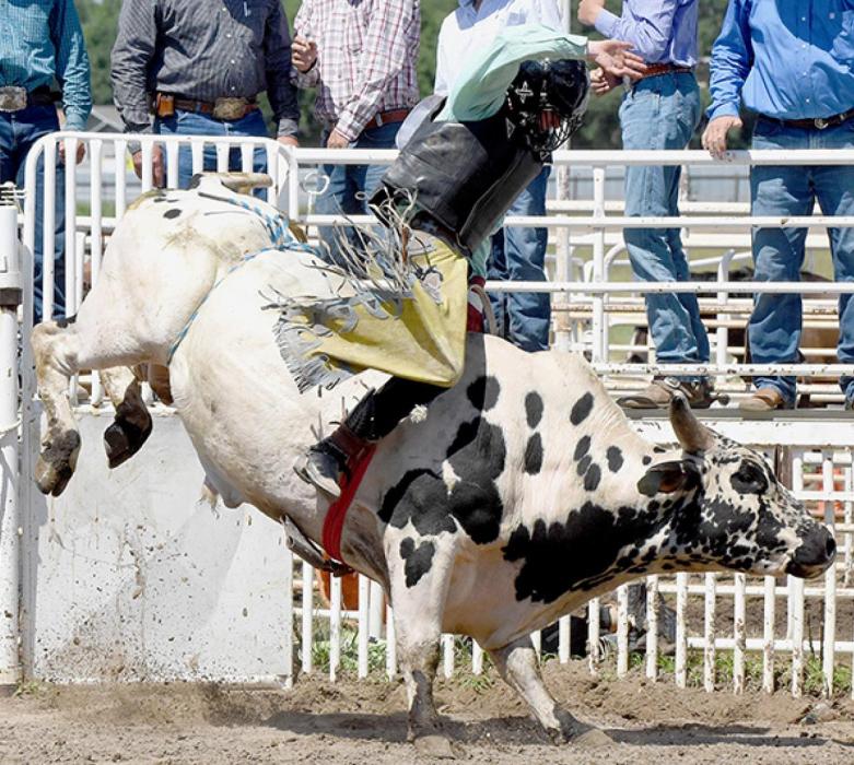 Brady Painter of Ainsworth took third place in Bull Riding with a score of 71 at the NHSRA State Finals. Photo by Steve Moseley of York