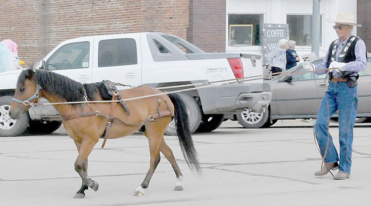 Irene Ihm won the Most Unusual entry with her Reins and Line.