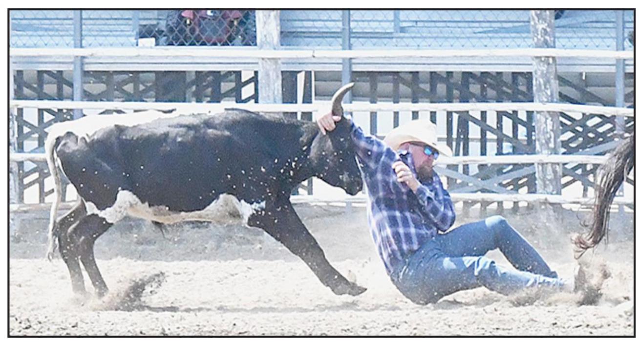 A rodeo contestant pulls a steer to the ground by its horns in the steer wrestling competition at the 2021 Brown County Fair &amp; Rodeo, held over Labor Day Weekend.
