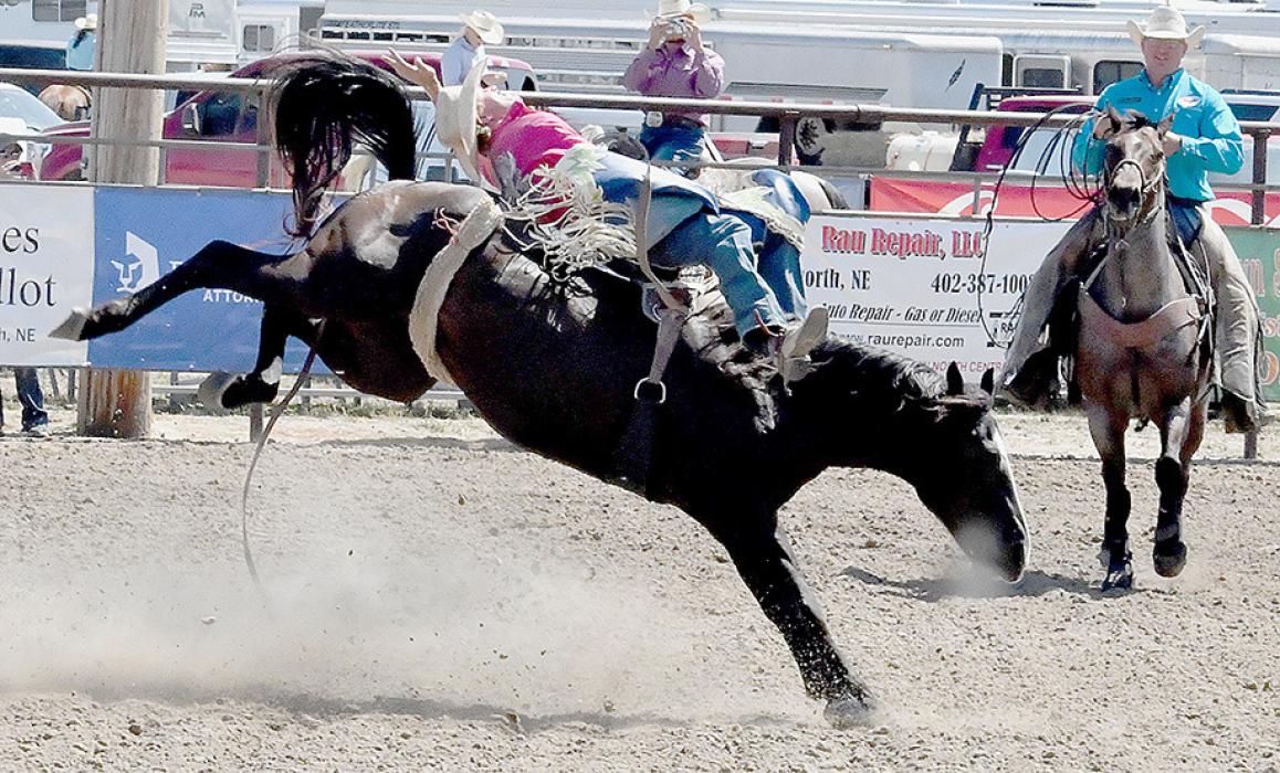 87th Annual