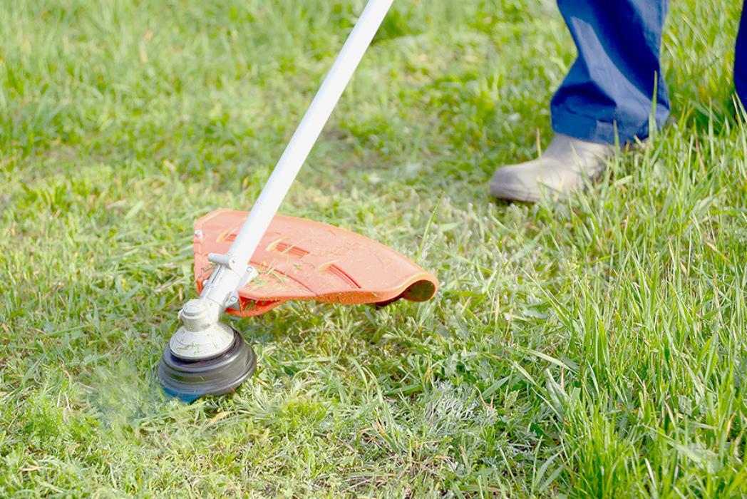 Shopping for Yard Equipment: Things to Know