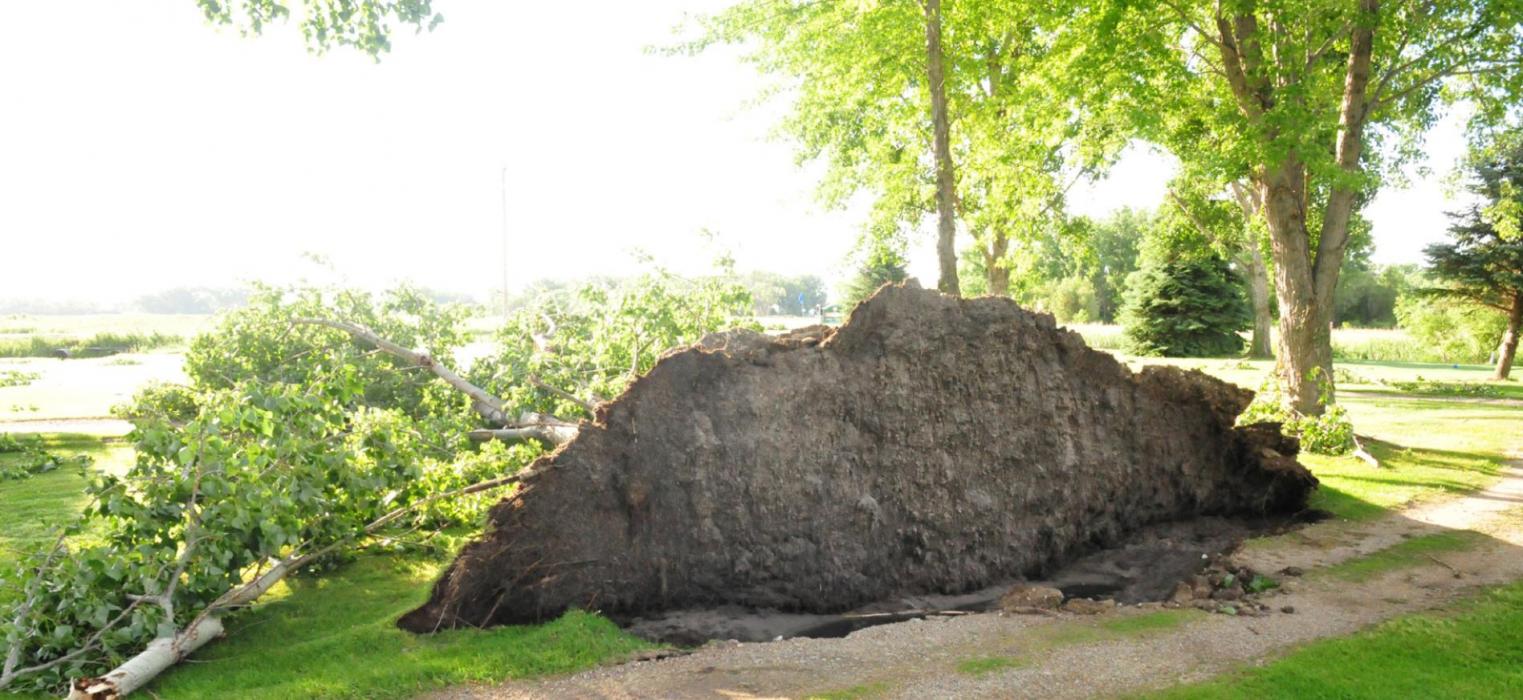 Storm Damages Area with High Winds and Hail