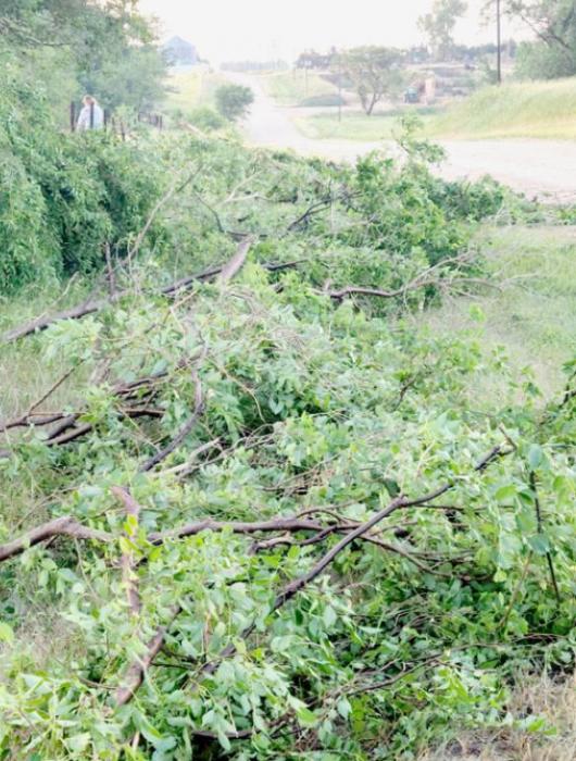 Storm Damages Area with High Winds and Hail