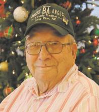 Harry (Bill) A. Babcock, Jr., 91