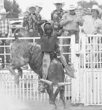 Brady Painter rode a bull in the short-go Saturday afternoon at the 2021 Nebraska High School Finals Rodeo. Photo by Steve Moseley, York, NE