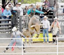 Cowboys and Cowgirls will make their way to the Brown County Fairgrounds in Johnstown, NE for the 87th Annual Brown County Fair and Rodeo, September 2nd, 3rd, 4th and 5th. There will be three days of rodeo activities starting on Saturday, September 3rd at 7:30 p.m.