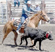 Augustus Painter, Ainsworth, was the header with Beau Wiebelhaus, Springview, as the heeler during Team Roping competition at Madison High School Rodeo. The pair took a no time. Photo by Steve Moseley of York
