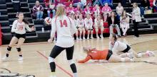 Lady Dawgs Play at Home October 18th; Prepare for SWC Tournament