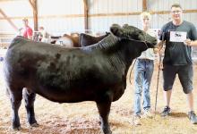 BKR 4-H Conducts First Livestock Auction Following 4-H Youth Fair