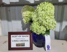 2026 Brown County Fair Floriculture