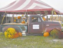 The Sandhills Corn Maze is open for the season, with plenty of new activities for all ages.