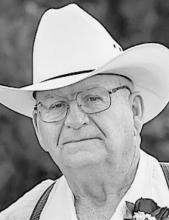 Steven N. Daniels, 73