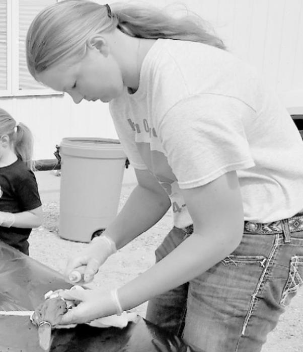 4-H Workshops Held in Brown County