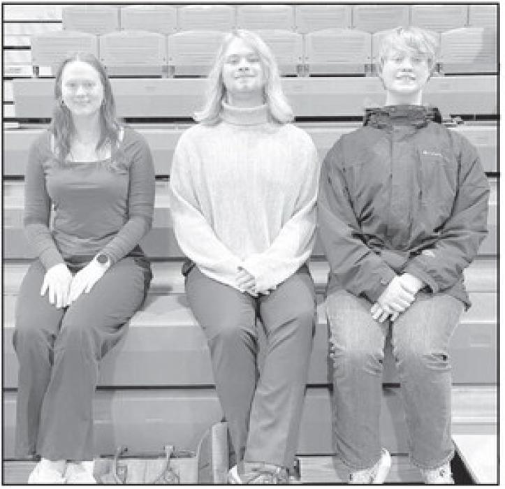 Ainsworth had three medalists at the contest. Puridy Haley won gold in personal finance, Erick Hitchcock won gold in literature, and Kristofer Hitchcock won bronze in geometry.