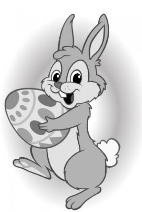 Alt Text for Image