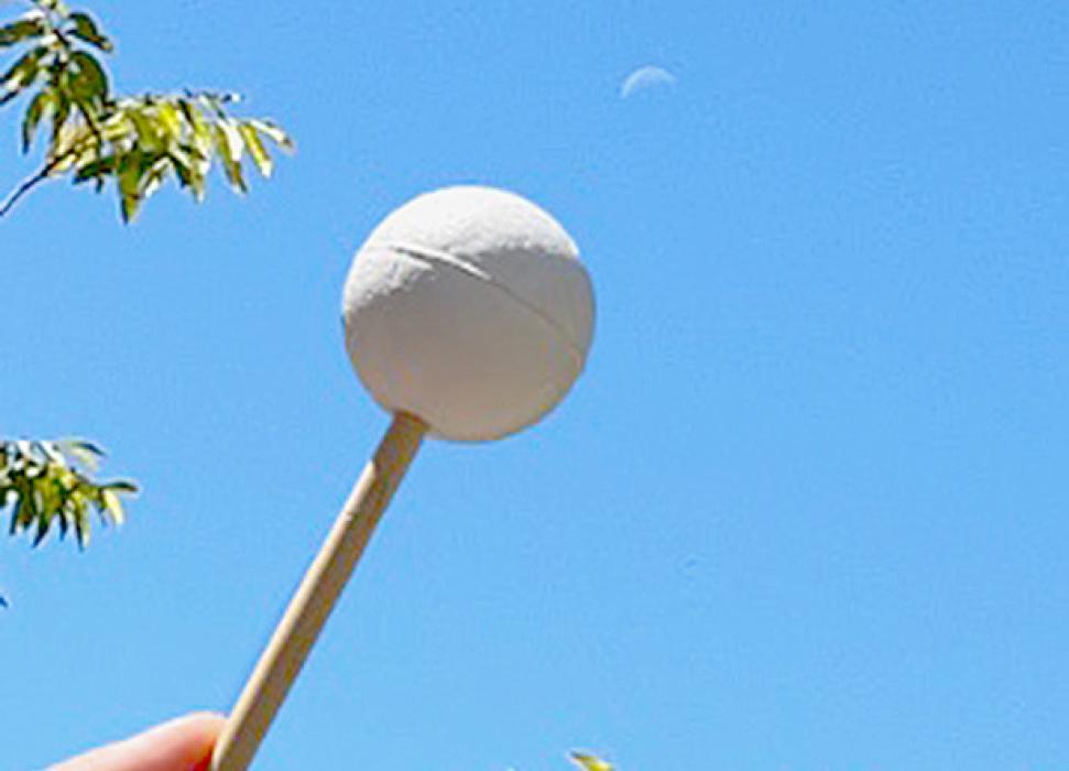 Image of waning crescent Moon shown next to a ball on a stick that is lit by the Sun on the same side as the Moon, with trees and a blue sky in the background. Try this with an egg or any round object when you see the Moon during the day! Credit: Vivian White