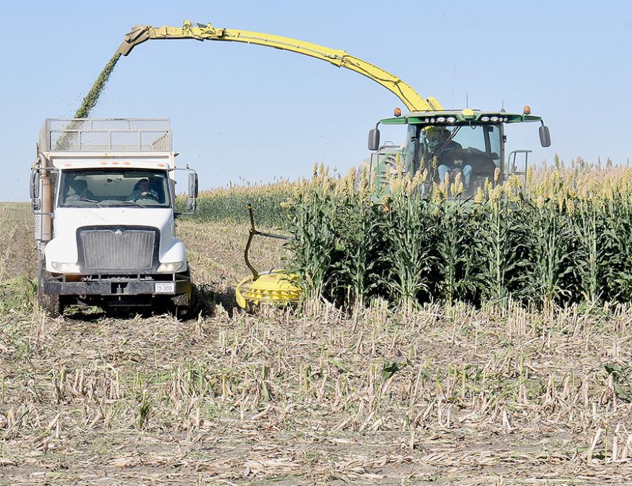 Harvest is Underway