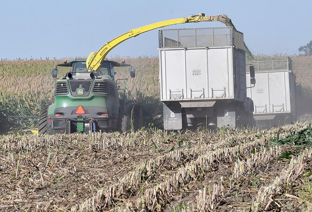 Harvest is Underway