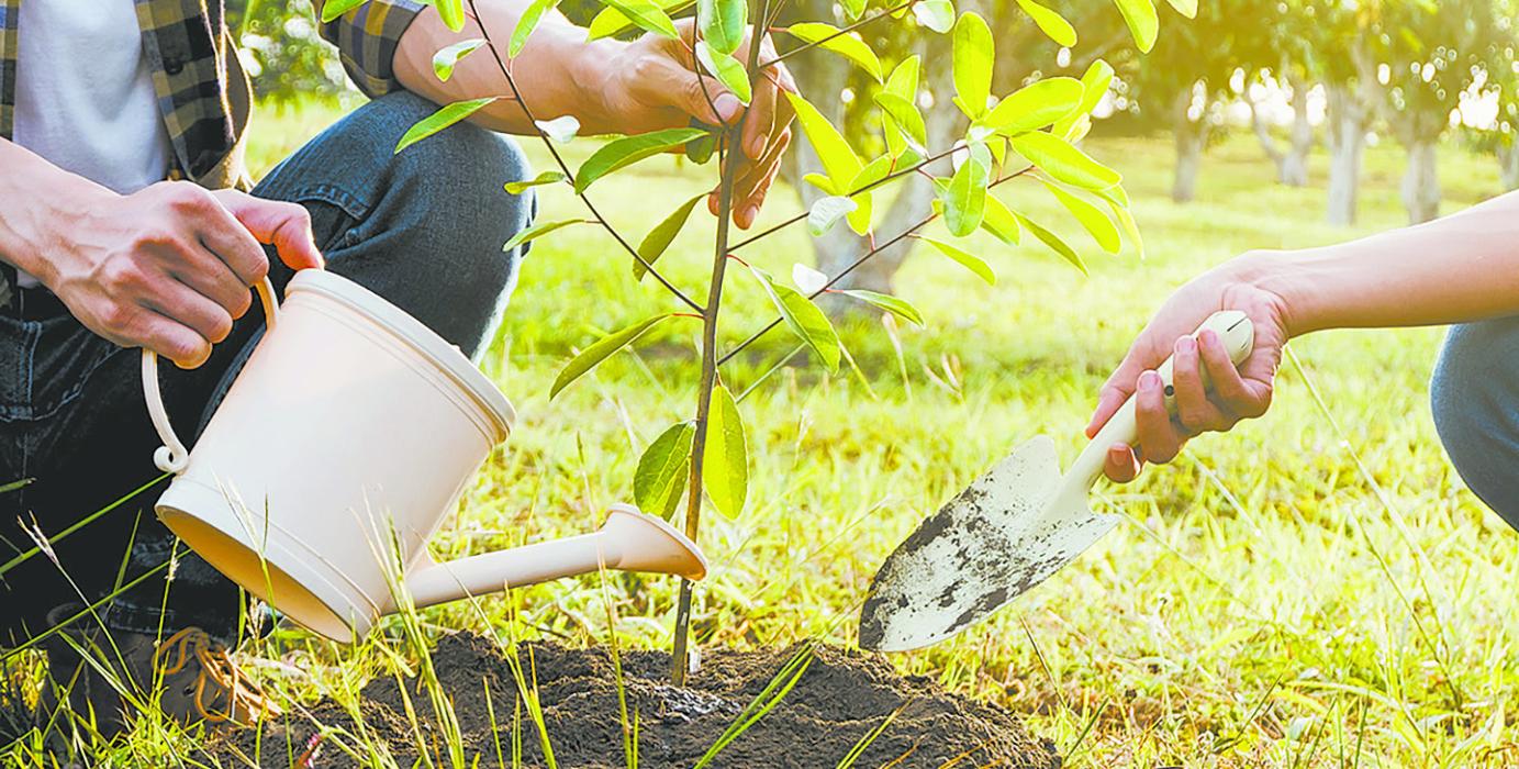 Johnstown has been a part of the Tree City Program for five years.