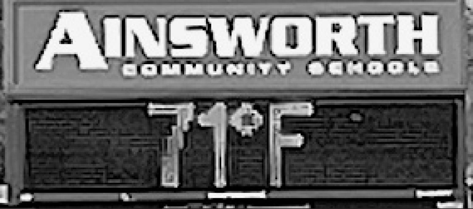 Alt Text for Image