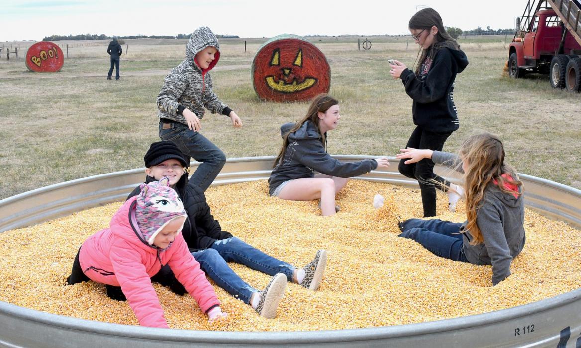 Sandhills Corn Maze Provides Fun Family Entertainment