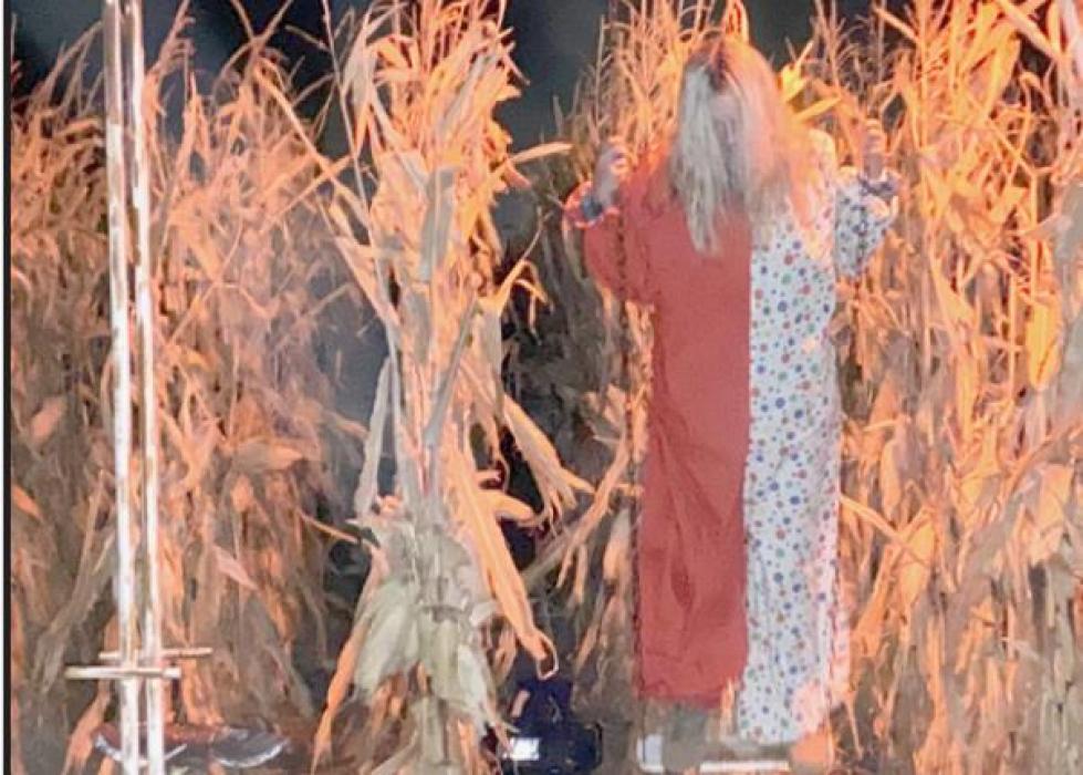 Sandhills Corn Maze Provides Fun Family Entertainment