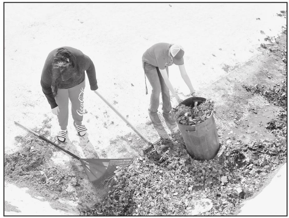 Two Freshman students rake up and remove leaves from the bottom of the Ainsworth Community Pool.