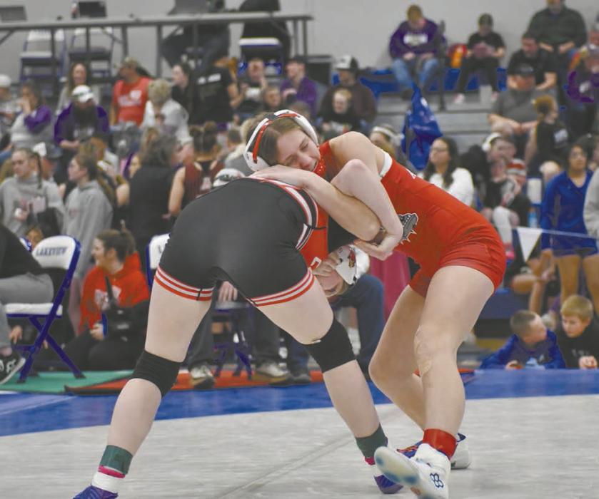 Megan Jones was undefeated in her final district wrestling competition. She will go into the state meet with a record of 35-5.
