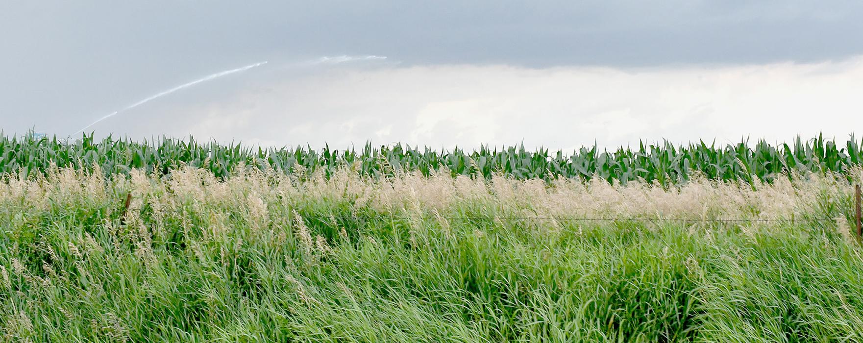 Keep Pivot Streams Away from Roadways