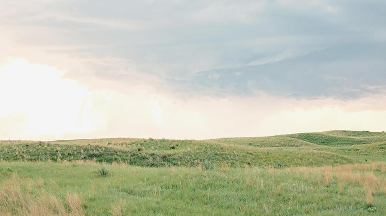 Record Ag Land Values in Nebraska Attributed to High Commodity Prices, Low Interest Rates