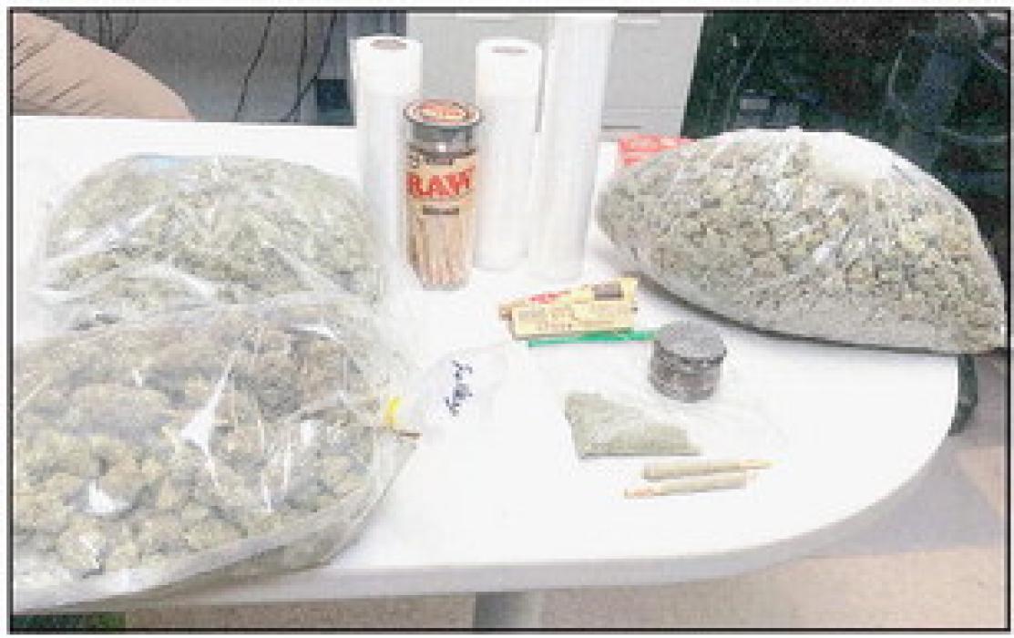 Dutch sniffed out a whopping three pounds of raw marijuana, after being deployed for a single stop.